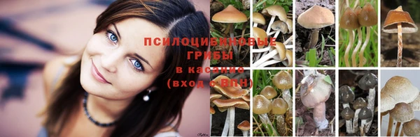 амф Ладушкин
