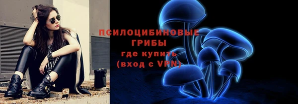 амф Ладушкин
