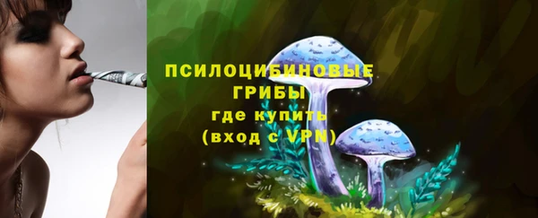 бошки Лабытнанги