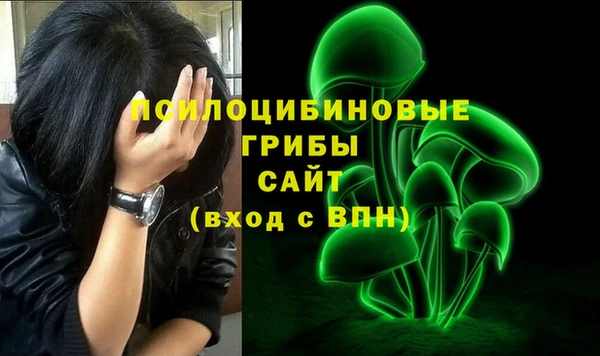 амф Ладушкин