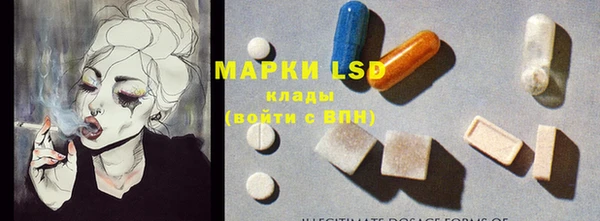 амф Ладушкин