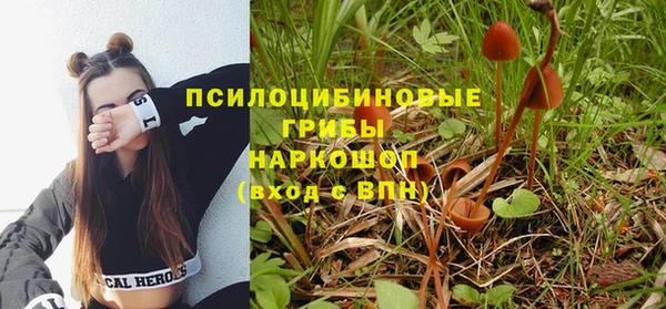 амф Ладушкин